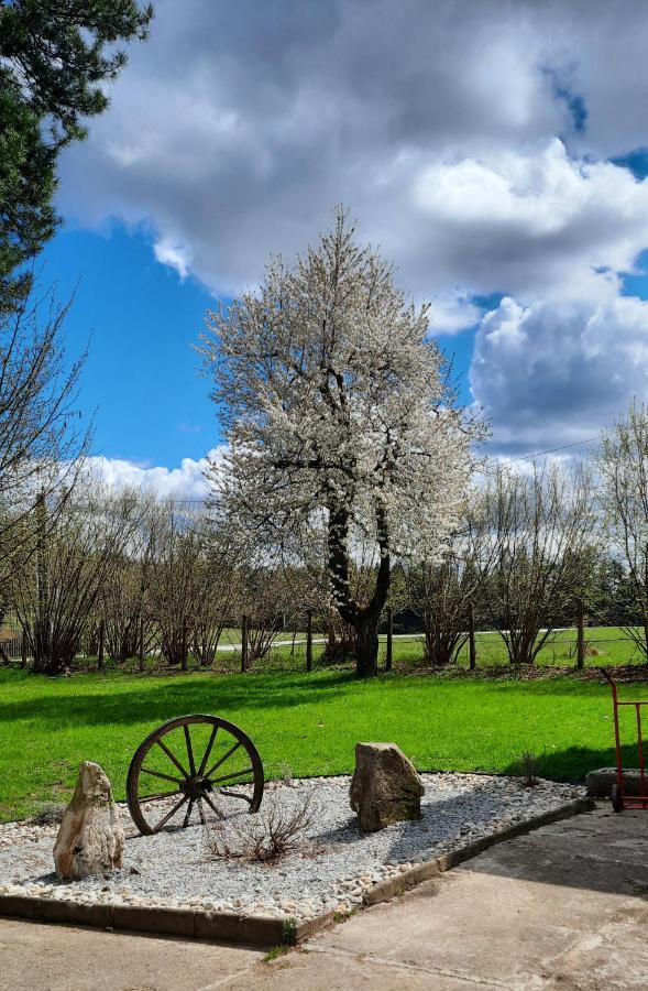 Penzion U Statku Lodherov ภายนอก รูปภาพ